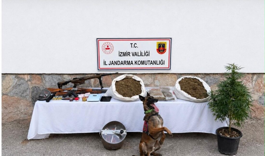 İzmir’in Urla ilçesinde jandarma ekiplerinin koordinesinde düzenlenen uyuşturucu operasyonunda 7