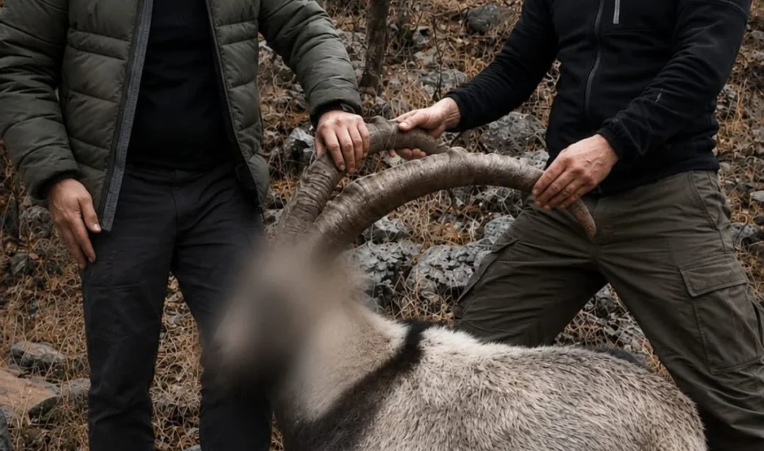 Cumhuriyet Başsavcılığı koordinesinde yürütülen soruşturma çerçevesinde, 6 yıl önce Şirvan