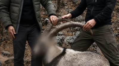 Cumhuriyet Başsavcılığı koordinesinde yürütülen soruşturma çerçevesinde, 6 yıl önce Şirvan