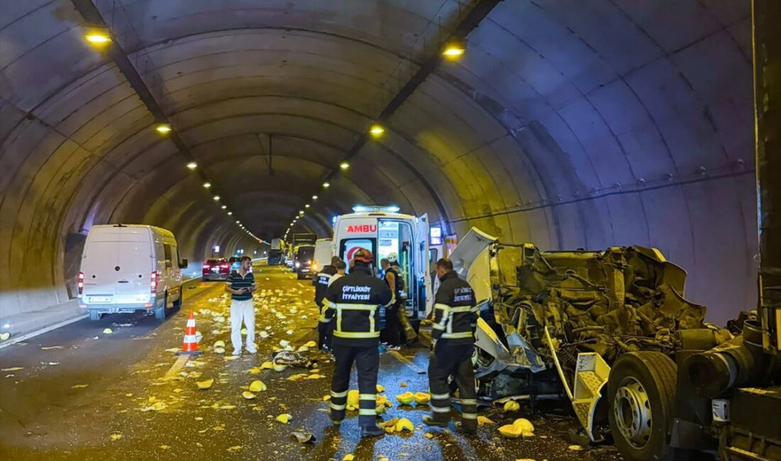 Çiftlikköy Belediyesi İtfaiye Müdürü Murat Erdoğan, yaptığı açıklamada, temmuz ayında