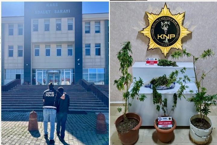 Kars’ta polis ekiplerince bir ikamete düzenlenen uyuşturucu operasyonunda 272,55 gram