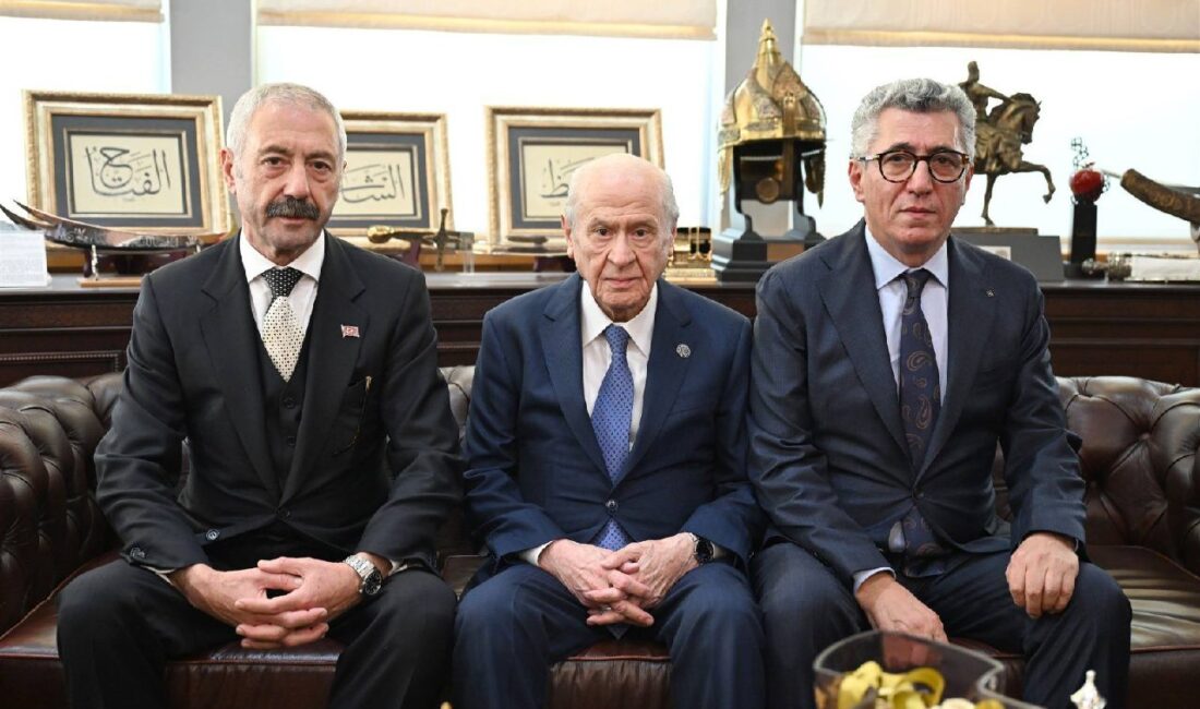 Milliyetçi Hareket Partisi (MHP) Genel Başkanı Devlet Bahçeli, Sarallar ve