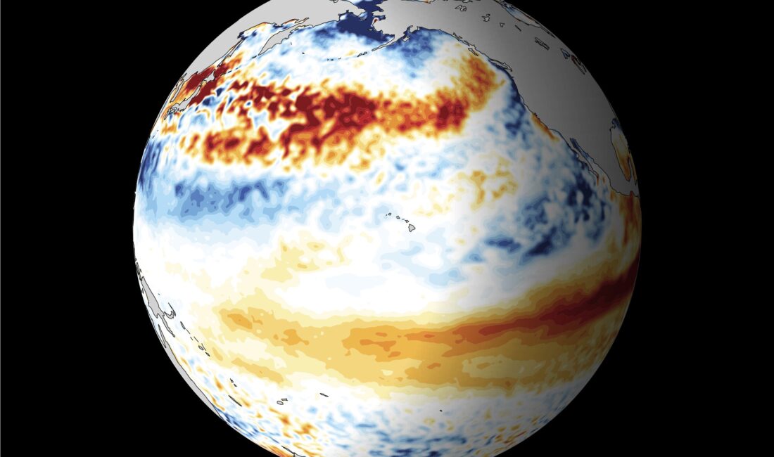 Japonya Meteoroloji Ajansı (JMA), Pasifik Okyanusu genelinde takip edilen deniz