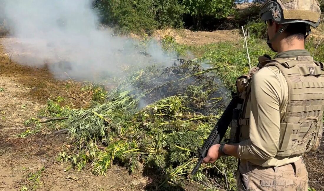 İçişleri Bakanlığı koordinesinde Diyarbakır’ın Lice ve Kulp ilçelerinde jandarma ekiplerince