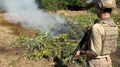 İçişleri Bakanlığı koordinesinde Diyarbakır’ın Lice ve Kulp ilçelerinde jandarma ekiplerince