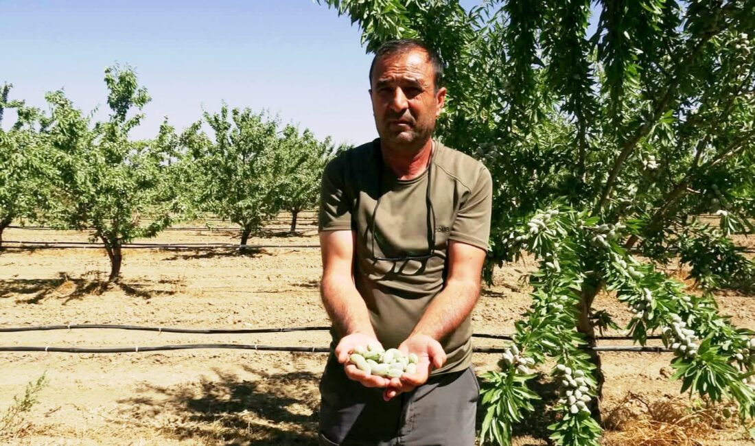 Yeşilhisar ilçesinde yaşayan 4 çocuk babası 56 yaşındaki Ünal Habanoğlu,