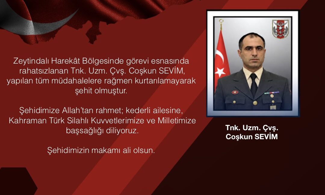 YALOVA / TEKHA Yalova Valisi Dr. Ahmet Hamdi Usta, Zeytindalı