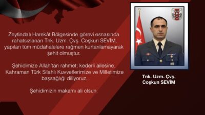 YALOVA / TEKHA Yalova Valisi Dr. Ahmet Hamdi Usta, Zeytindalı