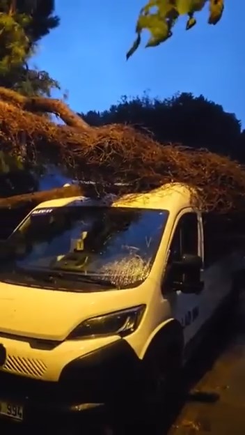 Kadıköy Erenköy Mahallesi Mekpare Sokak üzerinde sabah saat 06.30 sıralarında