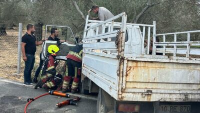 Balıkesir’in Burhaniye ilçesinde açık camdan içeri giren eşek arısı nedeniyle