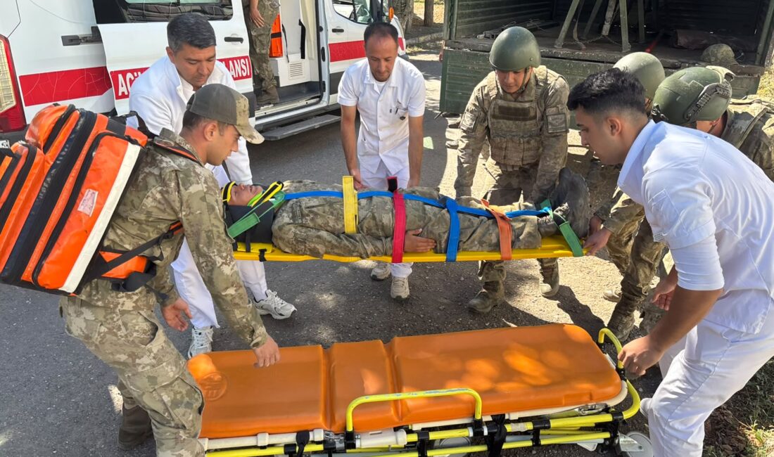 Milli Savunma Bakanlığı (MSB), Erzincan konuşlu 3’üncü Ordu Ana Ast