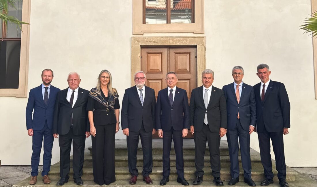 Türkiye Büyük Millet Meclisi Dışişleri Komisyonu Başkanı ve AK Parti