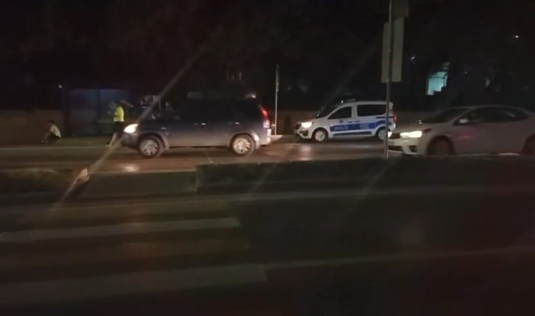 Adapazarı ilçesinde yaya geçidini kullanarak yolun karşısına geçmek isteyen 23