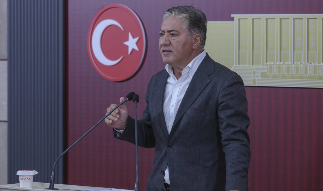 Yeni Parti Grup Başkan Vekili Murat Emir, Türkiye Büyük Millet