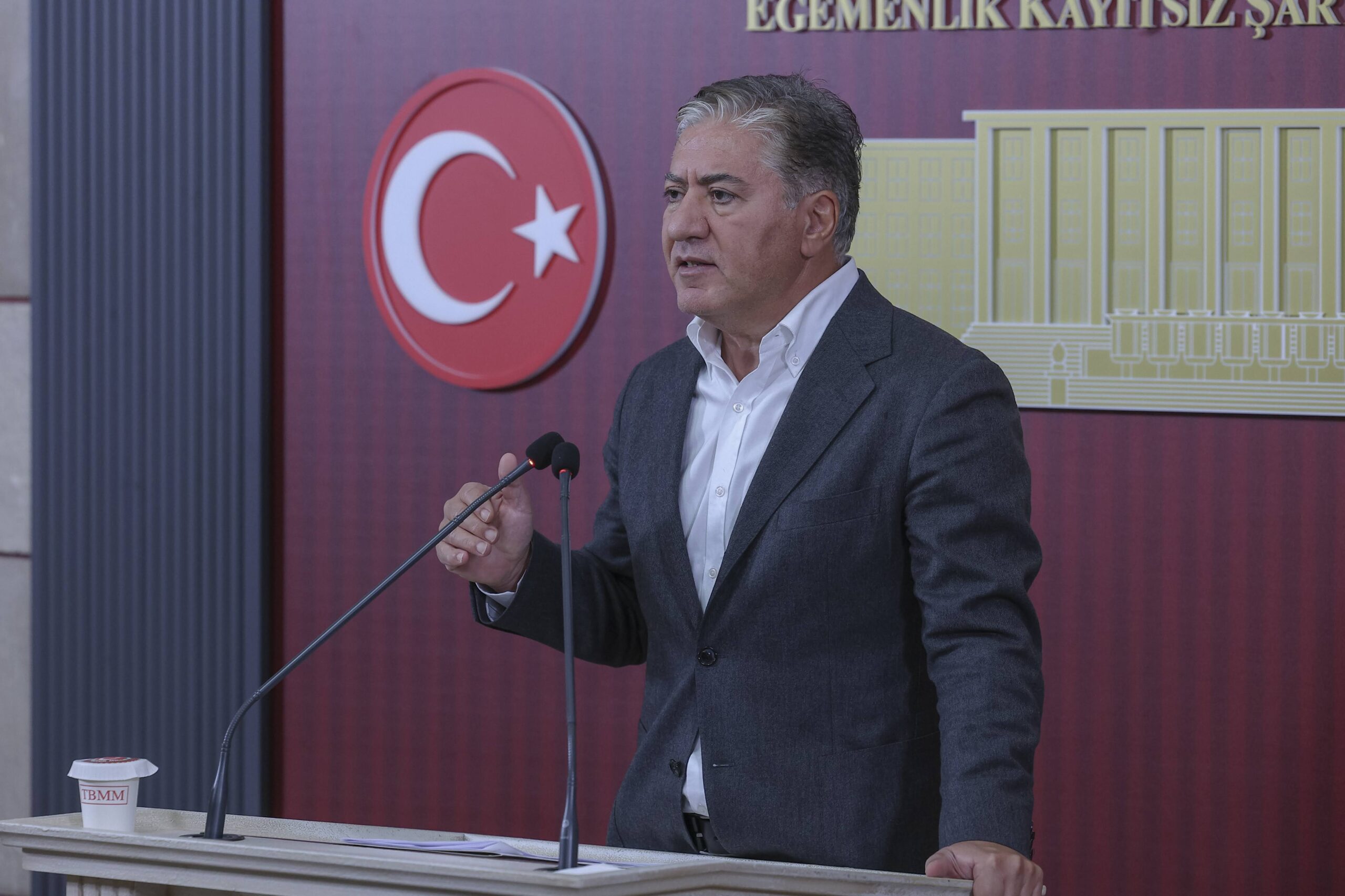Yeni Parti Grup Başkan Vekili Murat Emir, Türkiye Büyük Millet