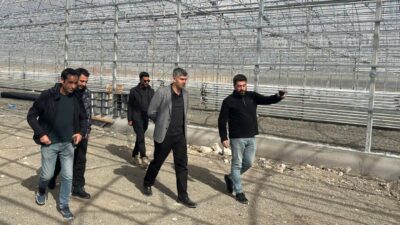 Diyadin Kaymakam Furkan KORKUSUZ, hafta sonu mesaisi kapsamında Diyadin Tarıma