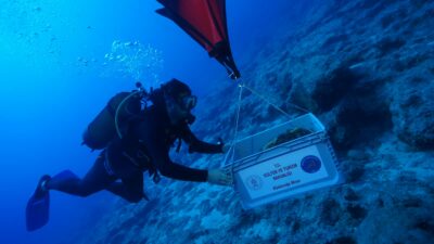 Kültür ve Turizm Bakanı Mehmet Nuri Ersoy, Antalya’nın Kekova Adası