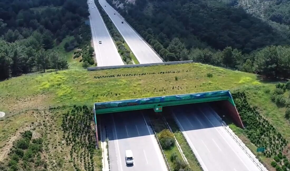 Ulaştırma ve Altyapı Bakanı Abdulkadir Uraloğlu, kara yolu ile demir