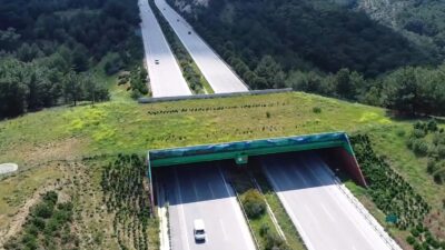 Ulaştırma ve Altyapı Bakanı Abdulkadir Uraloğlu, kara yolu ile demir