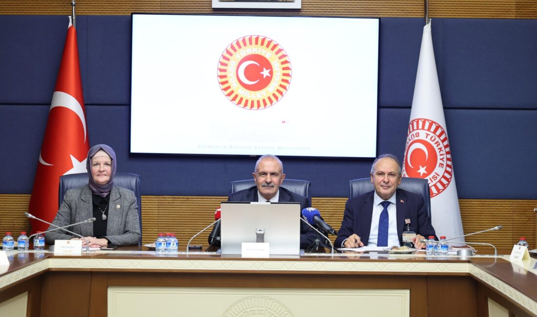 TBMM Avrupa Birliği Uyum Komisyonu, AK Parti Van Milletvekili Burhan