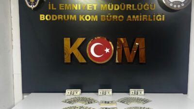 Muğla’nın Bodrum ilçesinde piyasaya yüklü miktarda sahte döviz sürmeye hazırlanan