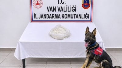 Van’ın Gevaş ilçesinde gerçekleştirilen operasyonda bir yolcu otobüsünde arama yapıldı.