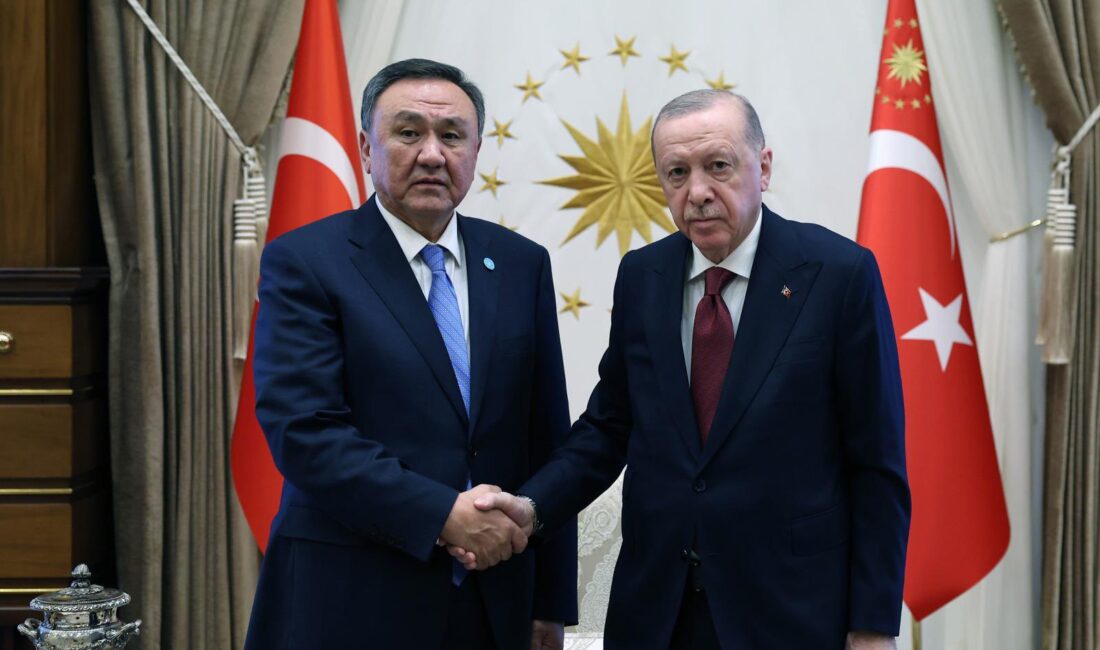 Cumhurbaşkanı Recep Tayyip Erdoğan, Türk Devletleri Teşkilatı (TDT) Genel Sekreteri