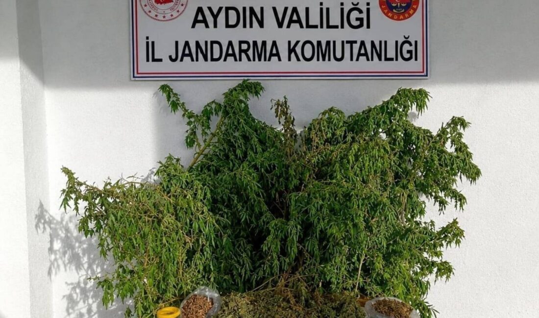 Aydın’ın İncirliova ilçesinde jandarma ekiplerinin gerçekleştirdiği uyuşturucu operasyonunda, ikametinde yüklü