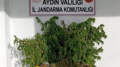Aydın’ın İncirliova ilçesinde jandarma ekiplerinin gerçekleştirdiği uyuşturucu operasyonunda, ikametinde yüklü
