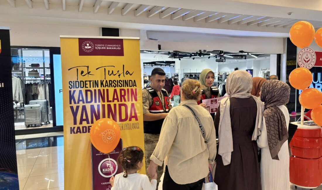 Siirt Valiliği koordinesinde ilgili kurumların iş birliğiyle Dünya Şiddete Hayır