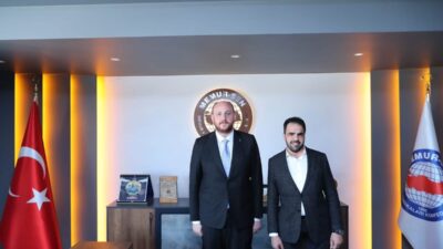 AK Parti Genel Başkan Yardımcısı, Teşkilat Başkanı ve Yalova Milletvekili