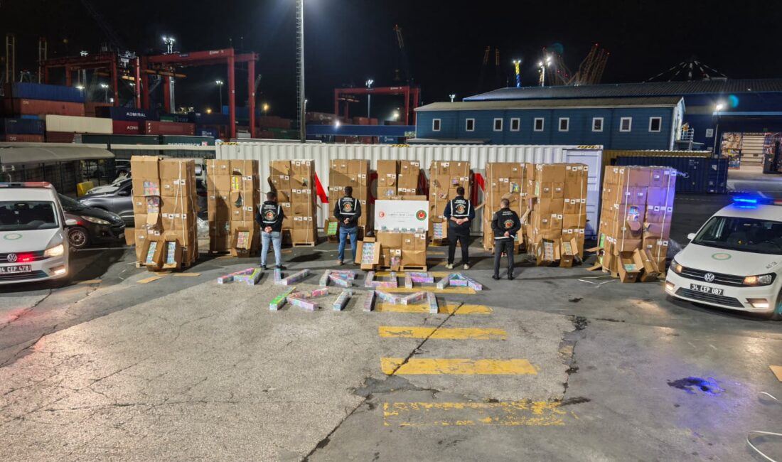 İSTANBUL / TEKHA Ticaret Bakanlığı Gümrükler Muhafaza birimleri, İstanbul genelinde