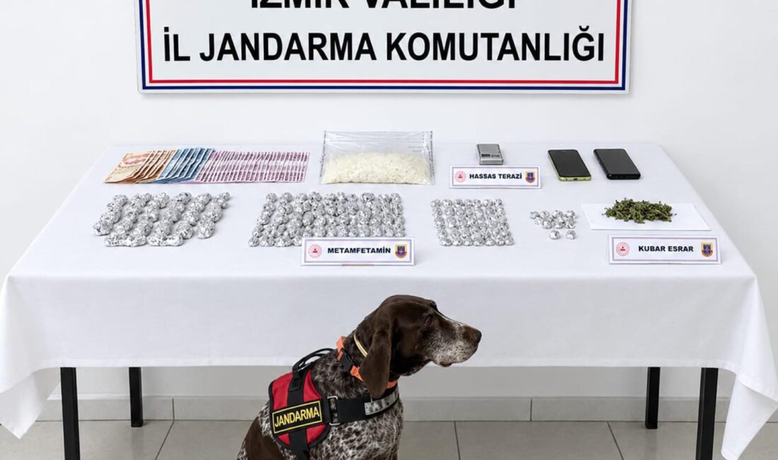 İZMİR / TEKHA İzmir’in Bayındır ilçesinde jandarma ekiplerince uyuşturucu madde