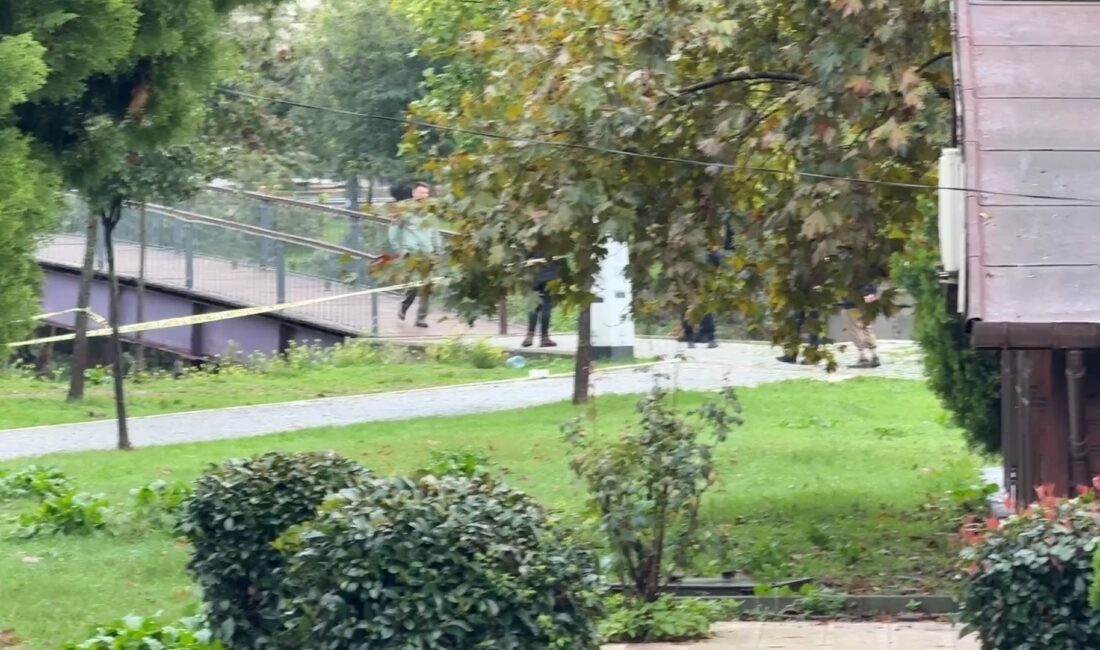 İstanbul Kağıthane Sadabad mevkisinde dere kenarındaki köprü ayağına takılı vaziyette