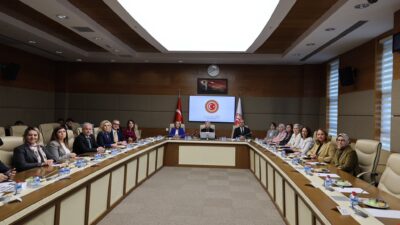 Türkiye Büyük Millet Meclisi Kadın-Erkek Fırsat Eşitliği Komisyonu (KEFEK), AK