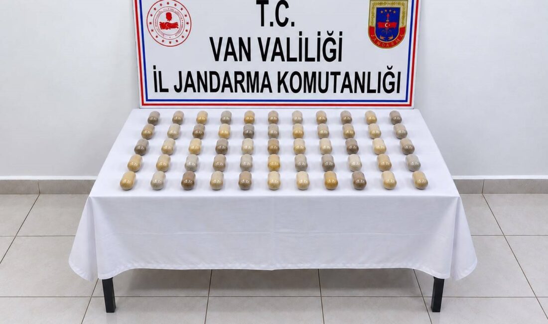 Van İl Jandarma Komutanlığı Narkotik Şube Müdürlüğü ekipleri, Van Cumhuriyet