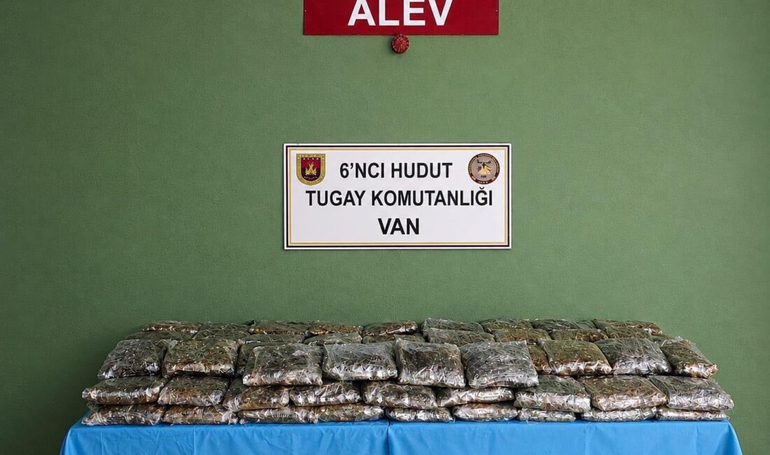 Milli Savunma Bakanlığı (MSB), Van hudut hattında yürütülen arama tarama