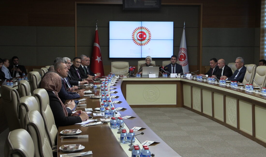 TBMM Şanlıurfa ve Kahramanmaraş Okul Olaylarını ve Dijital Riskleri Araştırma