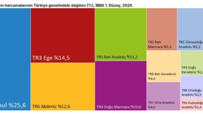Türkiye İstatistik Kurumu (TÜİK), 2025 yılına ait bölgesel hanehalkı tüketim