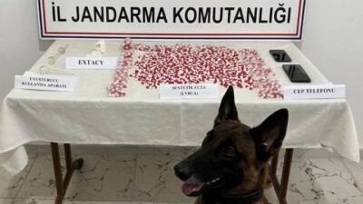 Siirt İl Jandarma Komutanlığı Narkotik Suçlarla Mücadele Şube Müdürlüğü ekipleri,
