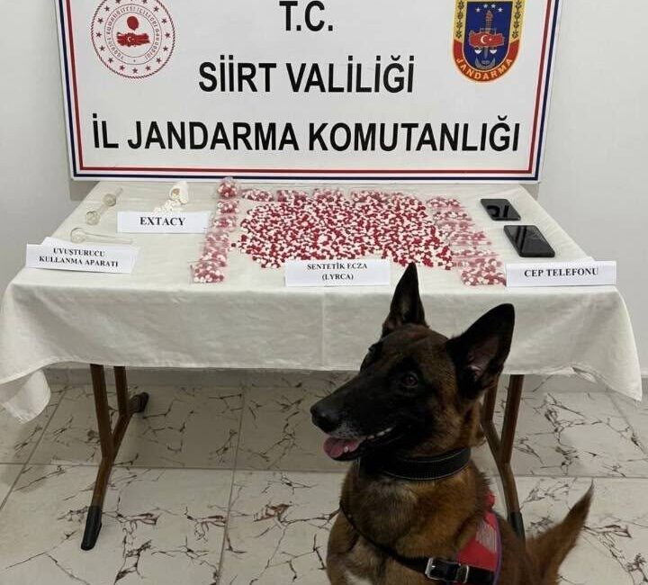Siirt İl Jandarma Komutanlığı Narkotik Suçlarla Mücadele Şube Müdürlüğü ekipleri,
