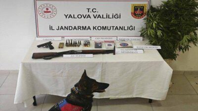 Yalova İl Jandarma Komutanlığı Narkotik Suçlarla Mücadele Şube Müdürlüğü ekipleri,