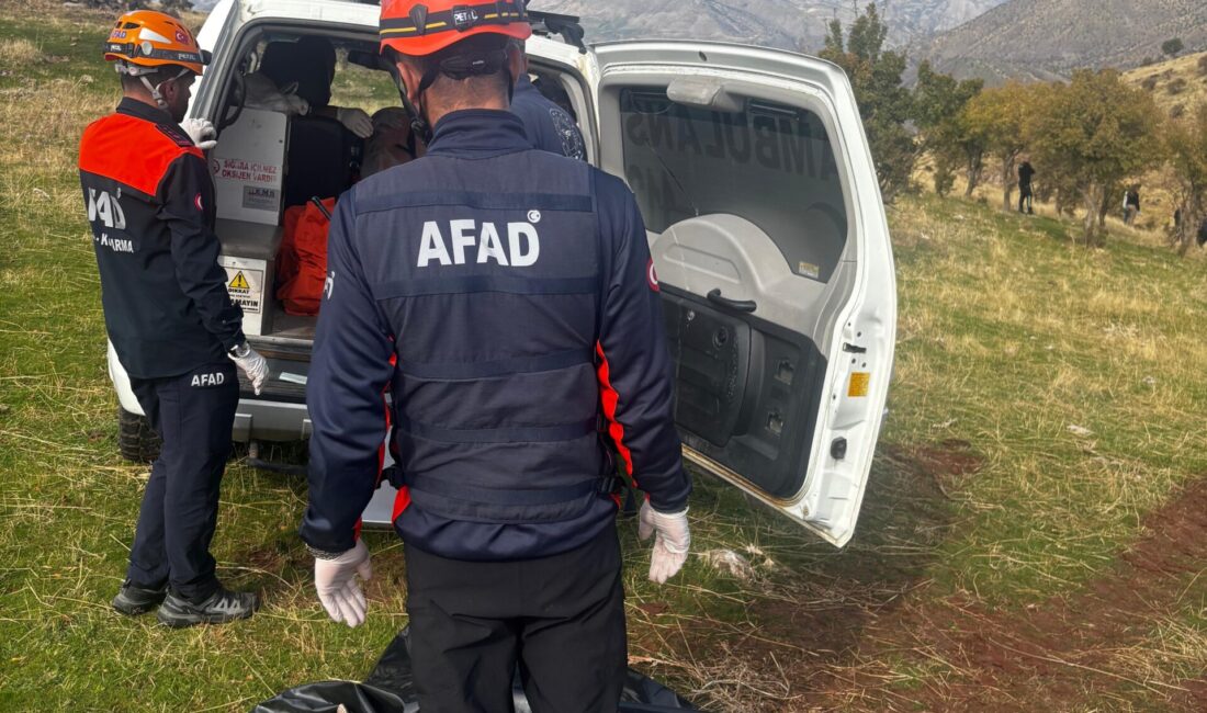 Siirt’in Şirvan ilçesinde meradaki hayvanlarına bakmak için evinden çıktıktan sonra