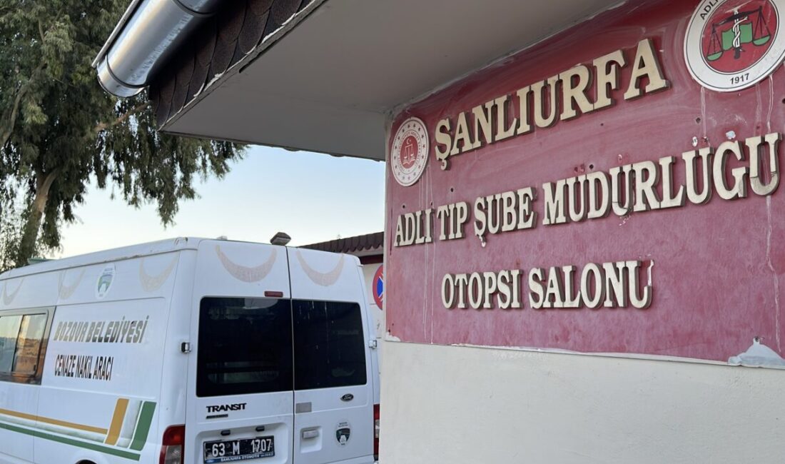 Şanlıurfa'nın Bozova ilçesinde fıstık bahçesini sürdüğü sırada ağaç dalına çarparak