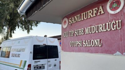 Şanlıurfa'nın Bozova ilçesinde fıstık bahçesini sürdüğü sırada ağaç dalına çarparak