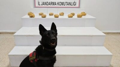 Van’ın Başkale ilçesinde jandarma ekipleri tarafından gerçekleştirilen operasyonda, araziye gizlenmiş