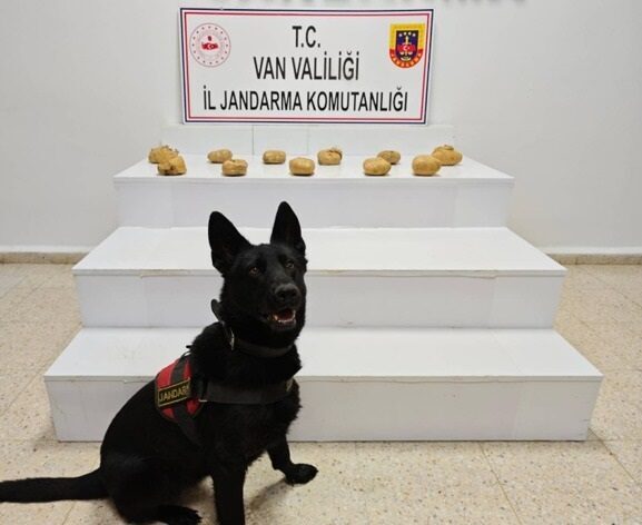 Van’ın Başkale ilçesinde jandarma ekipleri tarafından gerçekleştirilen operasyonda, araziye gizlenmiş
