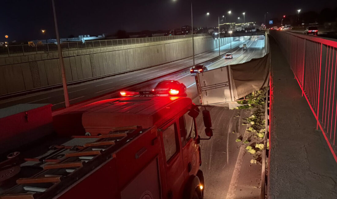 Eskişehir’de kediye çarpmamak için manevra yapan sürücünün kontrolünden çıkan 4
