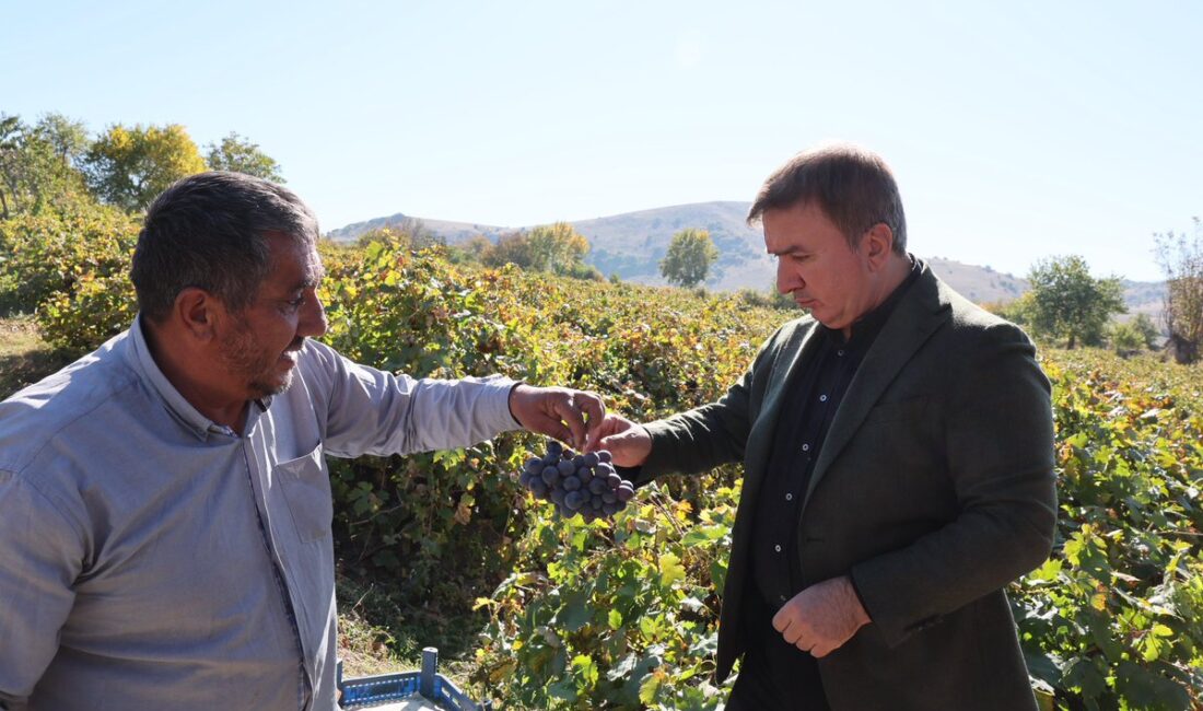 Erzincan Valisi Hamza Aydoğdu, beraberindeki birim amirleri ile birlikte Üzümlü