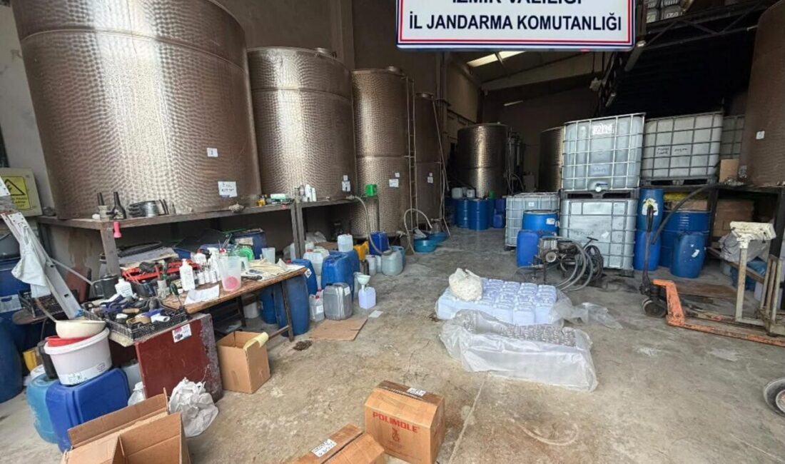 İzmir'in Bornova ilçesinde jandarma ekiplerinin bir iş yerine düzenlediği operasyonda,